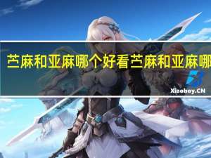 苎麻和亚麻哪个好看 苎麻和亚麻哪个好