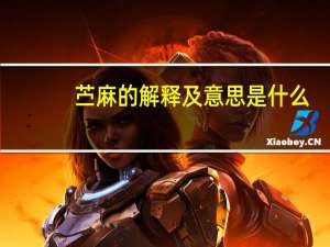 苎麻的解释及意思是什么