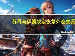 苏丹与伊朗决定恢复外交关系