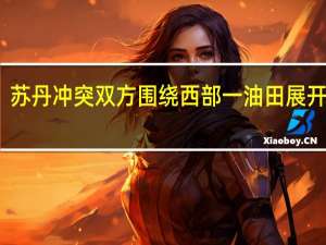 苏丹冲突双方围绕西部一油田展开争夺