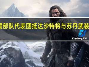 苏丹快速支援部队代表团抵达沙特 将与苏丹武装部队重启吉达会谈