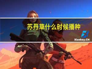 苏丹草什么时候播种