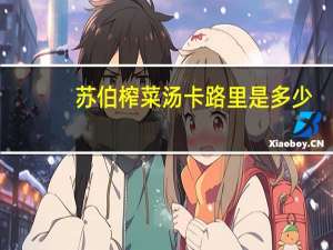 苏伯 榨菜汤卡路里是多少