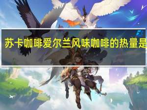 苏卡咖啡 爱尔兰风味咖啡的热量是多少