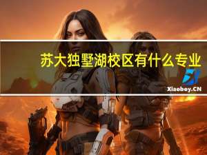 苏大独墅湖校区有什么专业