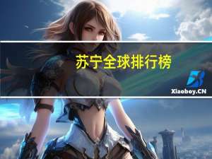 苏宁全球排行榜