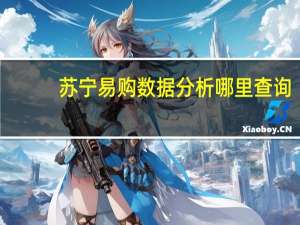 苏宁易购数据分析哪里查询