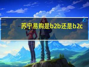 苏宁易购是b2b还是b2c