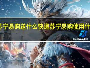 苏宁易购送什么快递 苏宁易购使用什么快递