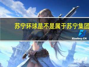 苏宁环球是不是属于苏宁集团（苏宁环球和苏宁电器是什么关系）