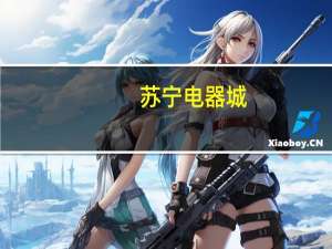 苏宁电器城（关于苏宁电器城的介绍）