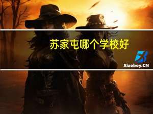 苏家屯哪个学校好