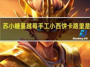 苏小糖 蔓越莓手工小西饼卡路里是多少