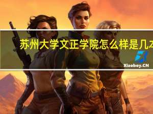 苏州大学文正学院怎么样是几本
