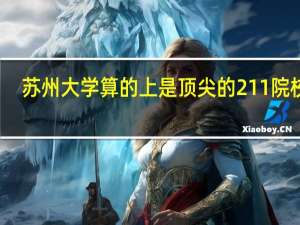 苏州大学算的上是顶尖的211院校吗