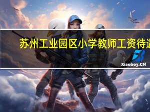 苏州工业园区小学教师工资待遇