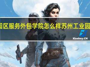 苏州工业园区服务外包学院怎么样 苏州工业园区职业技术学院