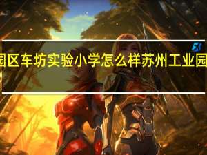 苏州工业园区车坊实验小学怎么样 苏州工业园区第二实验小学