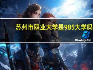 苏州市职业大学是985大学吗