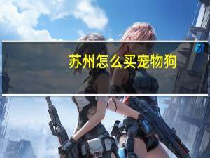 苏州怎么买宠物狗