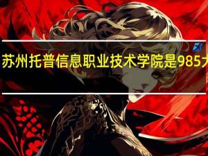 苏州托普信息职业技术学院是985大学吗
