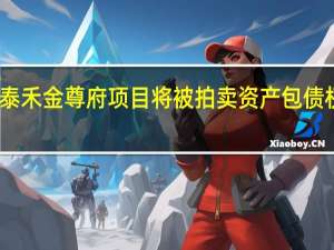 苏州泰禾金尊府项目将被拍卖资产包债权本息约21.84亿元