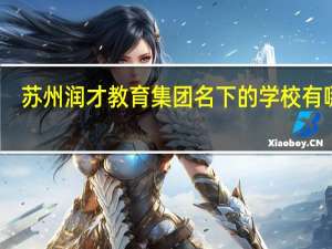 苏州润才教育集团名下的学校有哪些