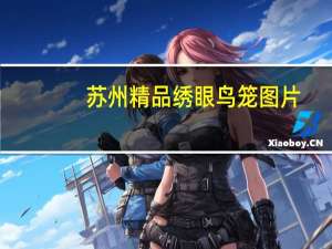 苏州精品绣眼鸟笼图片（苏式绣眼鸟笼的价格）