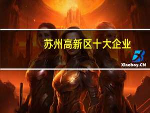 苏州高新区十大企业
