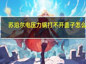 苏泊尔电压力锅打不开盖子怎么办