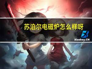 苏泊尔电磁炉怎么样呀（苏泊尔电磁炉怎么样）
