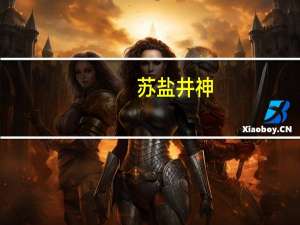 苏盐井神：上半年公司纯碱产品市场需求良好