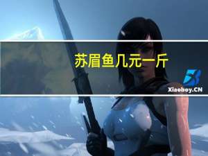 苏眉鱼几元一斤（苏眉鱼）