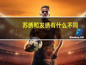 苏绣和发绣有什么不同.