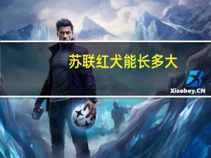 苏联红犬能长多大