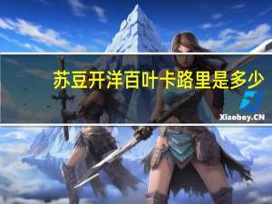 苏豆 开洋百叶卡路里是多少