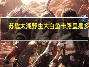 苏趣 太湖野生大白鱼卡路里是多少