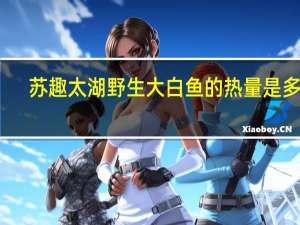 苏趣 太湖野生大白鱼的热量是多少