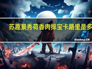 苏趣 景秀荷香肉排宝卡路里是多少