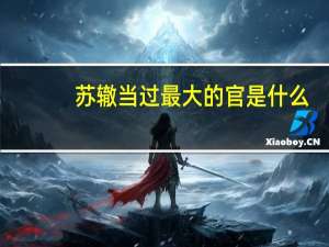 苏辙当过最大的官是什么