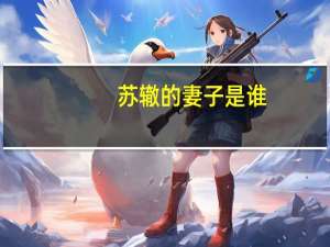 苏辙的妻子是谁