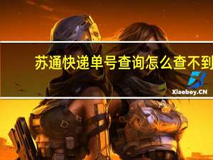 苏通快递单号查询怎么查不到（苏通快递单号查询）
