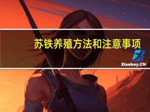 苏铁养殖方法和注意事项