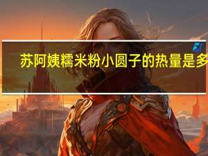 苏阿姨 糯米粉小圆子的热量是多少