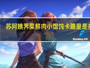 苏阿姨 荠菜鲜肉小馄饨卡路里是多少