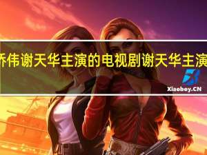 苗侨伟谢天华主演的电视剧 谢天华主演的电视剧