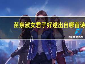 苗条淑女君子好逑出自哪首诗