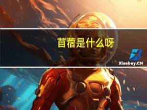 苜蓿是什么呀