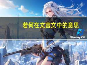 若何在文言文中的意思