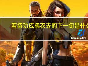 若待功成拂衣去的下一句是什么